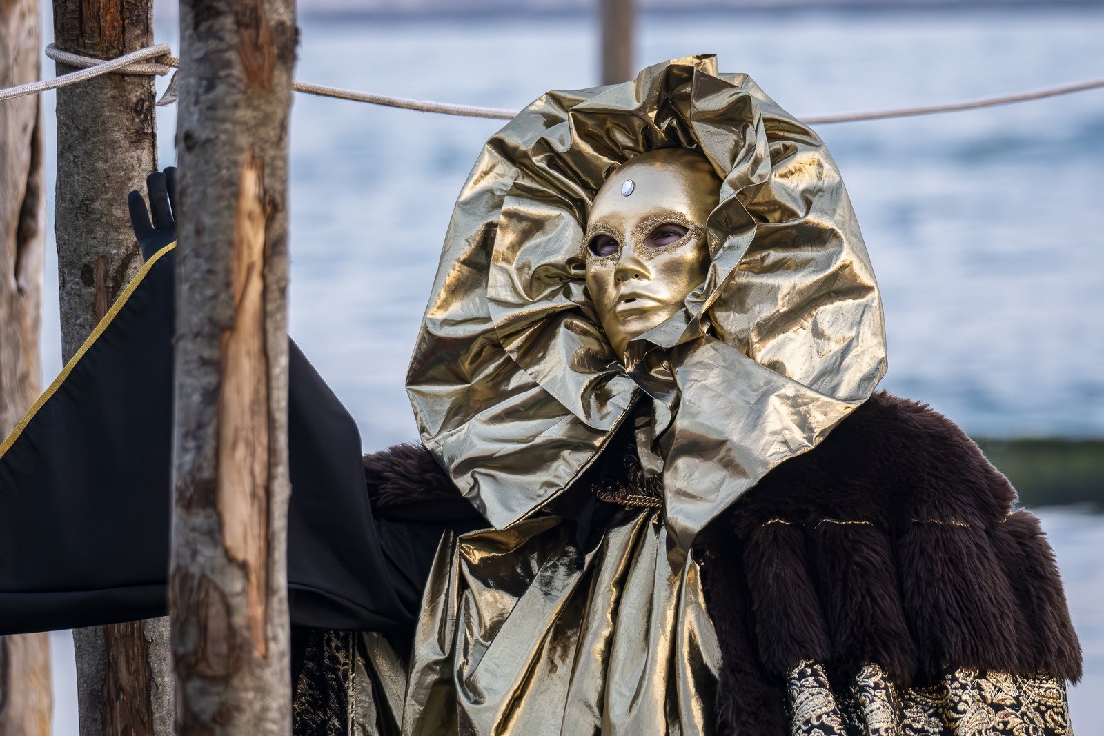 Carnaval Venise 2025