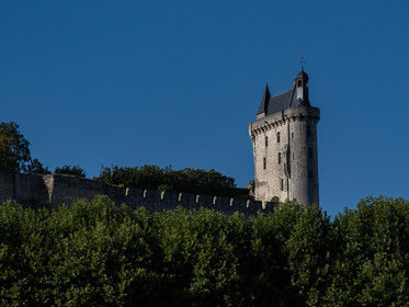 p1024986.jpg