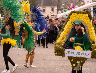 La Fête des Jonquilles