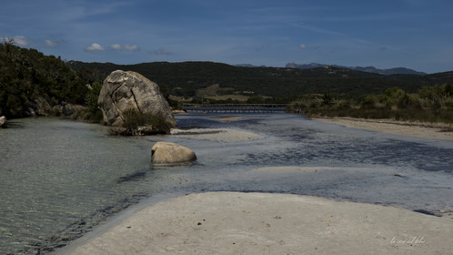 Corse