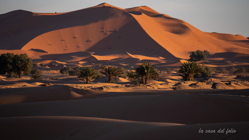 Désert du Sahara