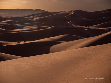 Afrique maroc