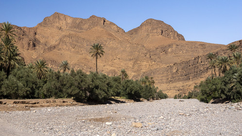 Maroc
