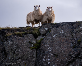 Islande