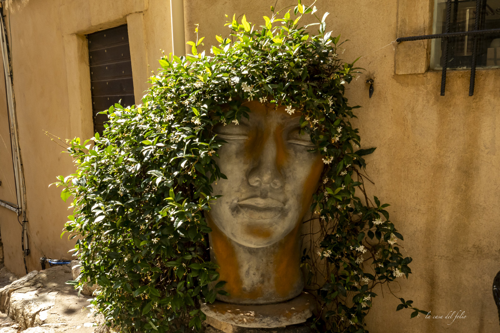 Corse