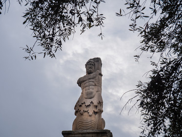 p1379591.jpg