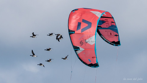 Kite Surf