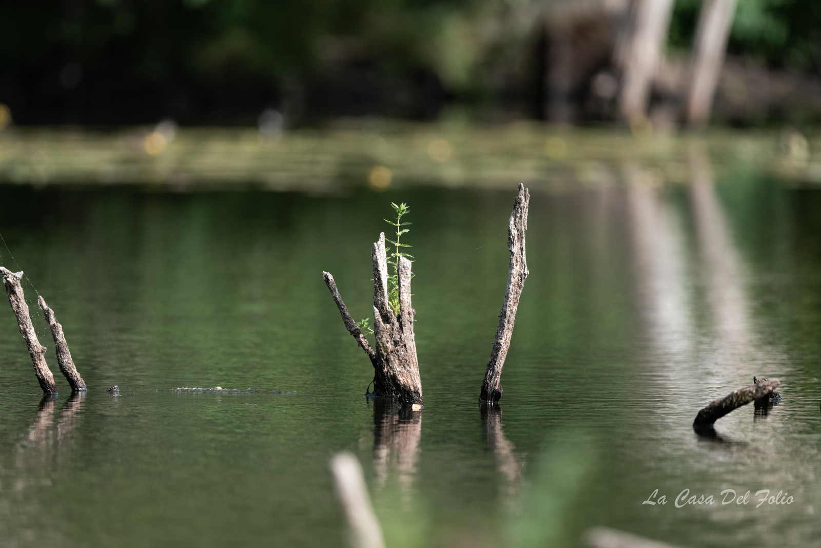 Le Gesvres, La Chapelle-sur-Erdre