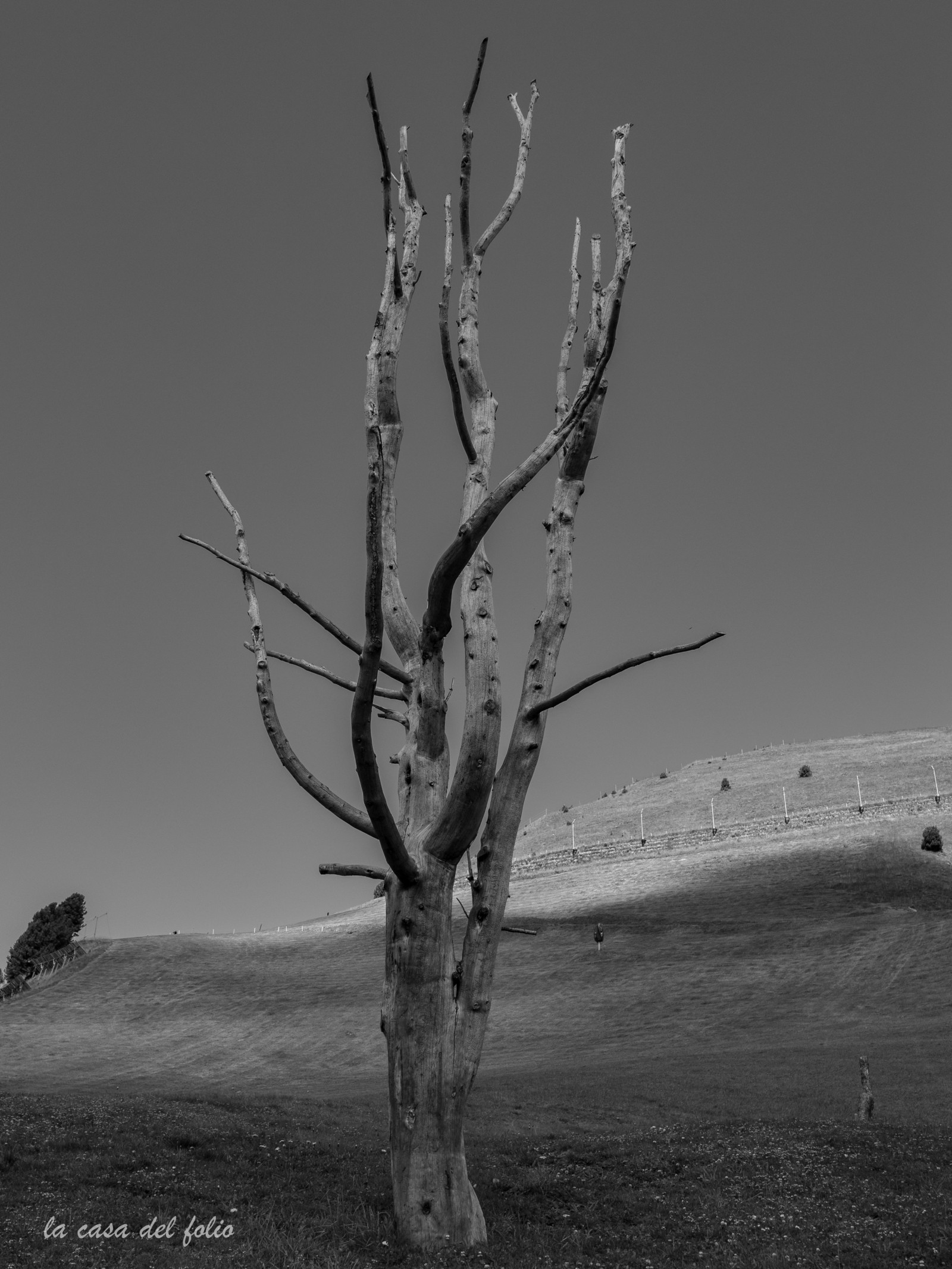 p1037233.jpg