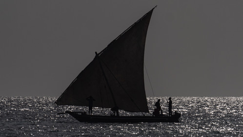 p1207289.jpg