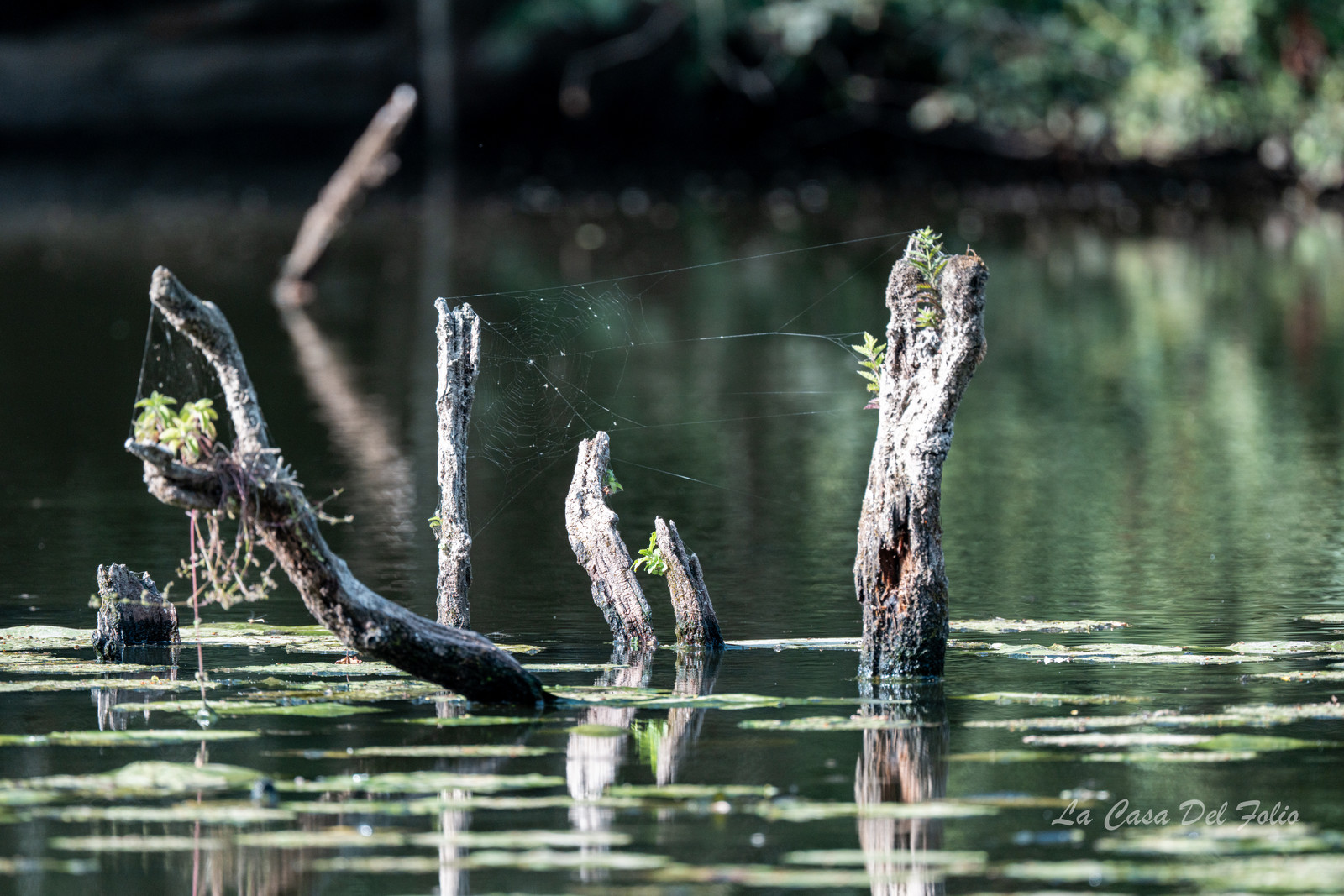 Le Gesvres, La Chapelle-sur-Erdre