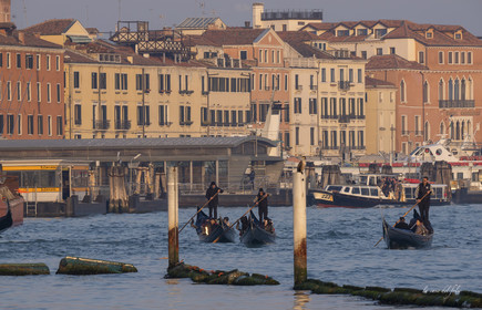 Venise
