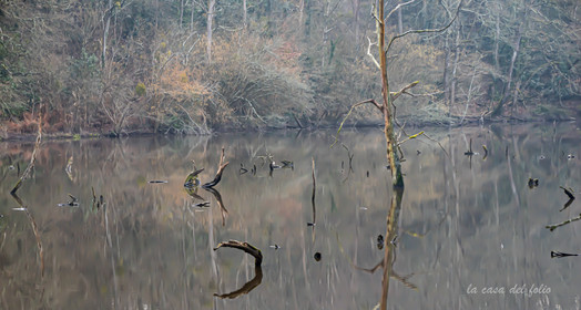 Le Gesvres, La Chapelle-sur-Erdre