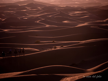 Désert du Sahara