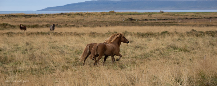 Islande