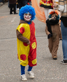 La Fête des Jonquille