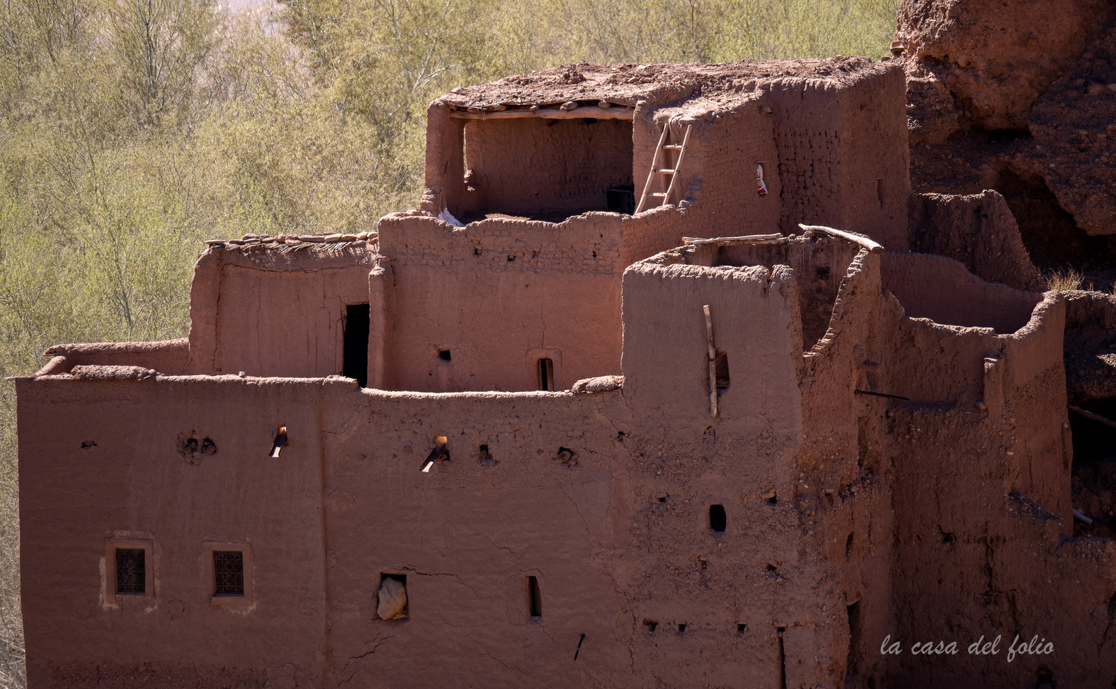 Afrique Maroc