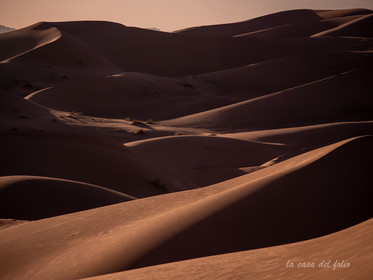 Désert du Sahara