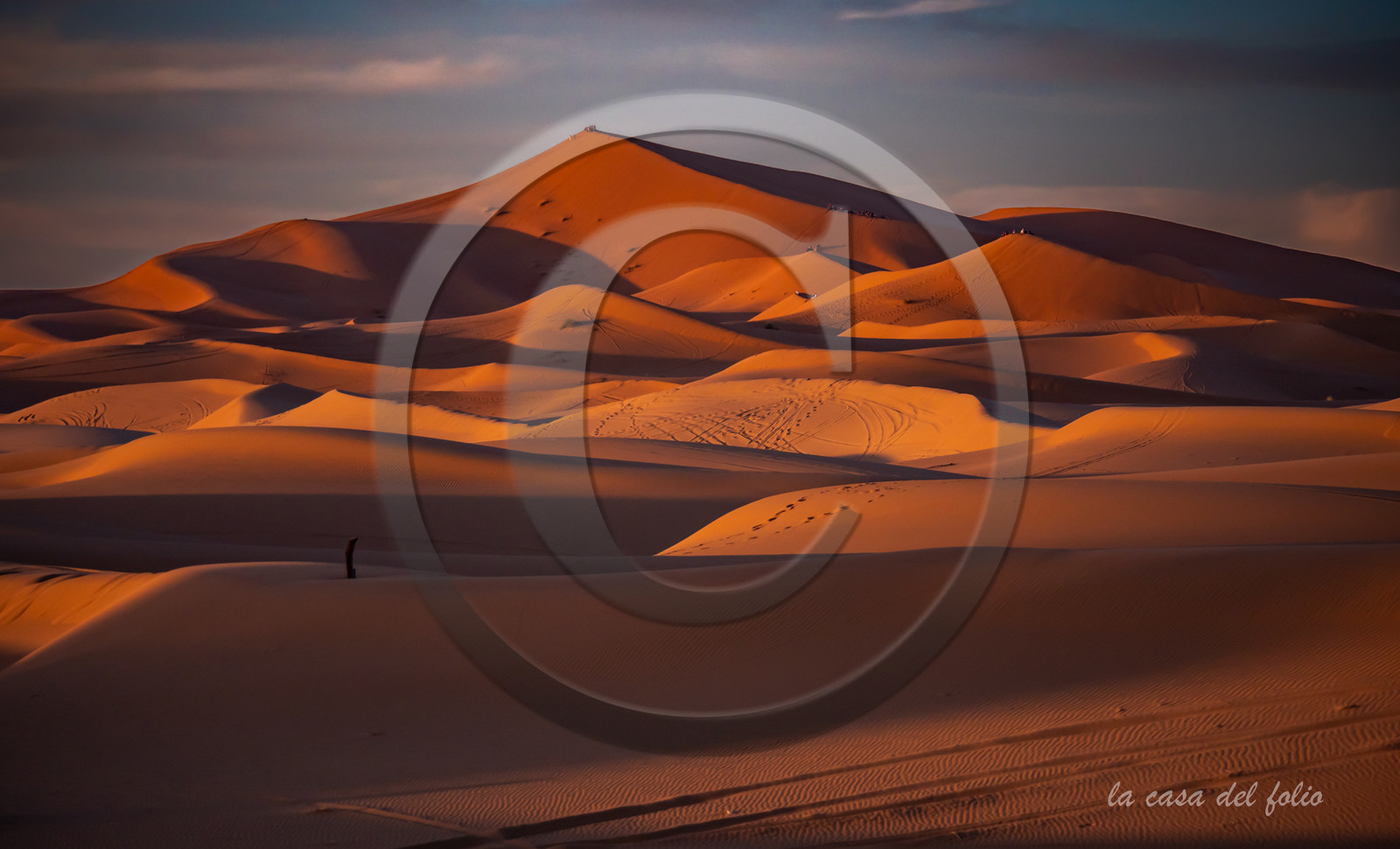 Maroc désert du Sahara,Photo ultra HD sur alu Dibond 115,5 x 70 cm