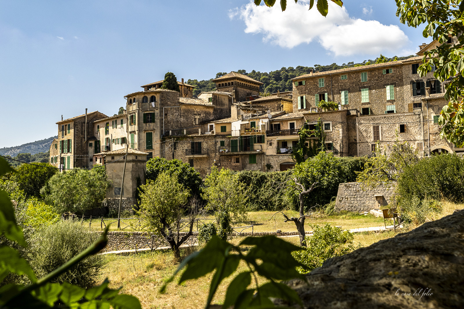 p1156844.jpg