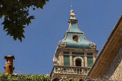 p1156839.jpg