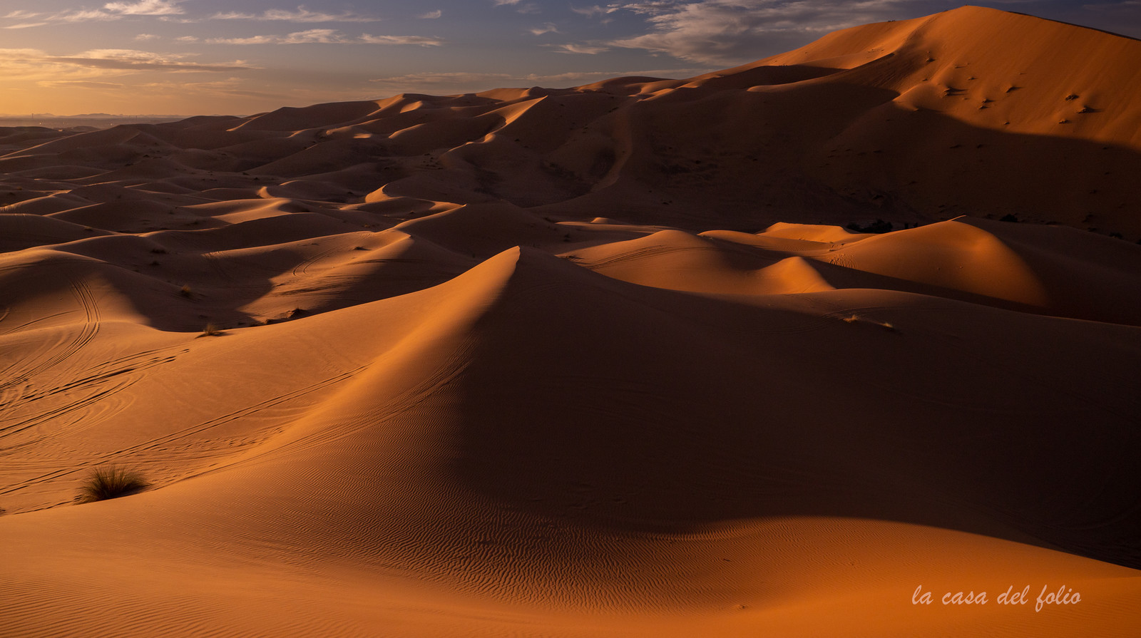 Afrique maroc