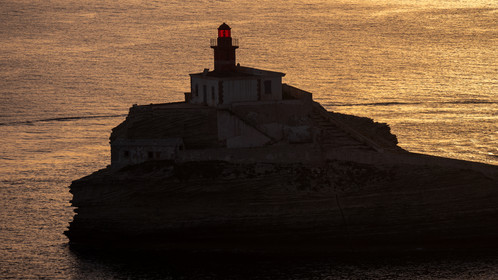 p1290641.jpg