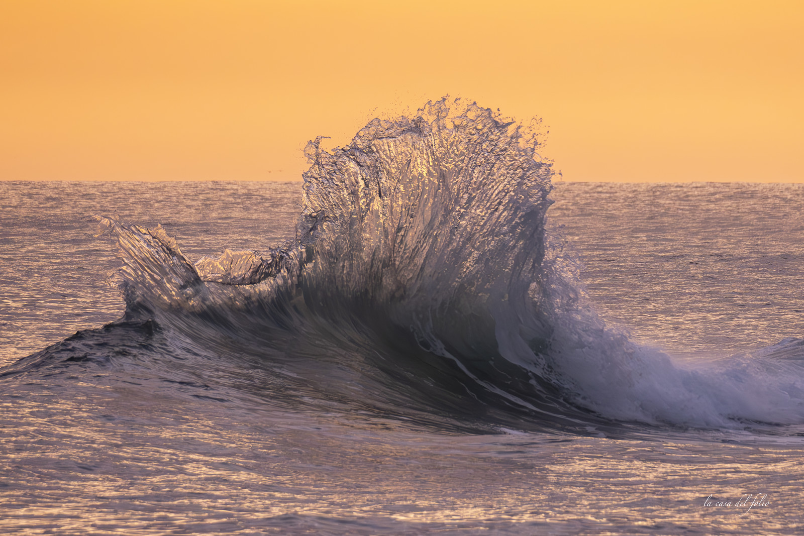 waves in the golden hour