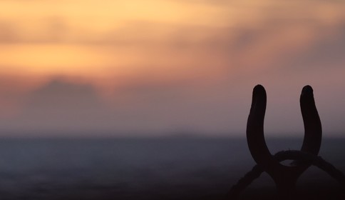 8405718b-d8e6-44e9-ae78-b5195ac8e139_1_105_c.jpeg