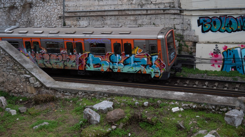 p1379820.jpg