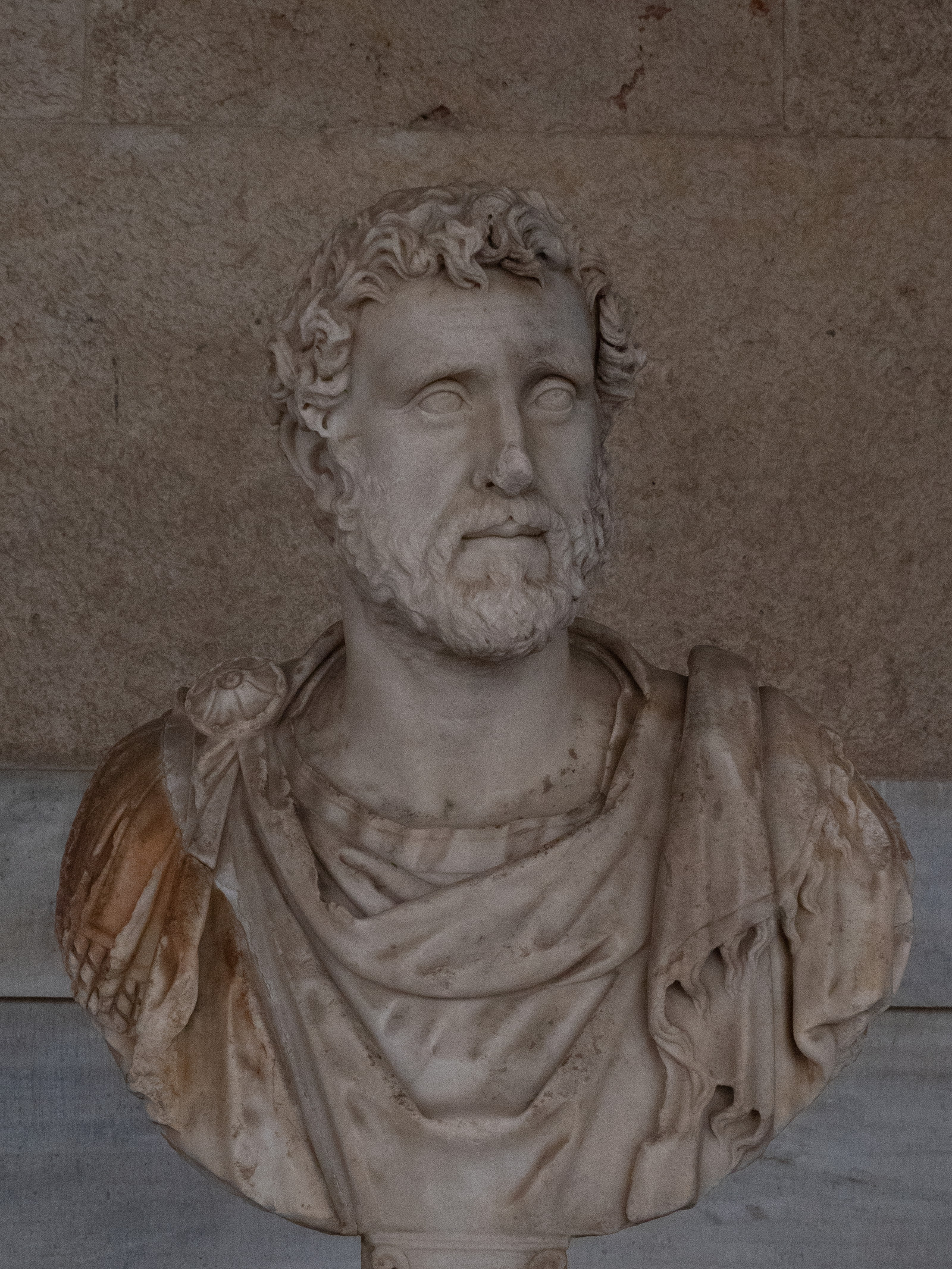 p1379687.jpg