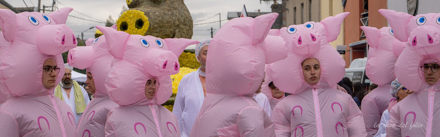 La Fête des Jonquilles