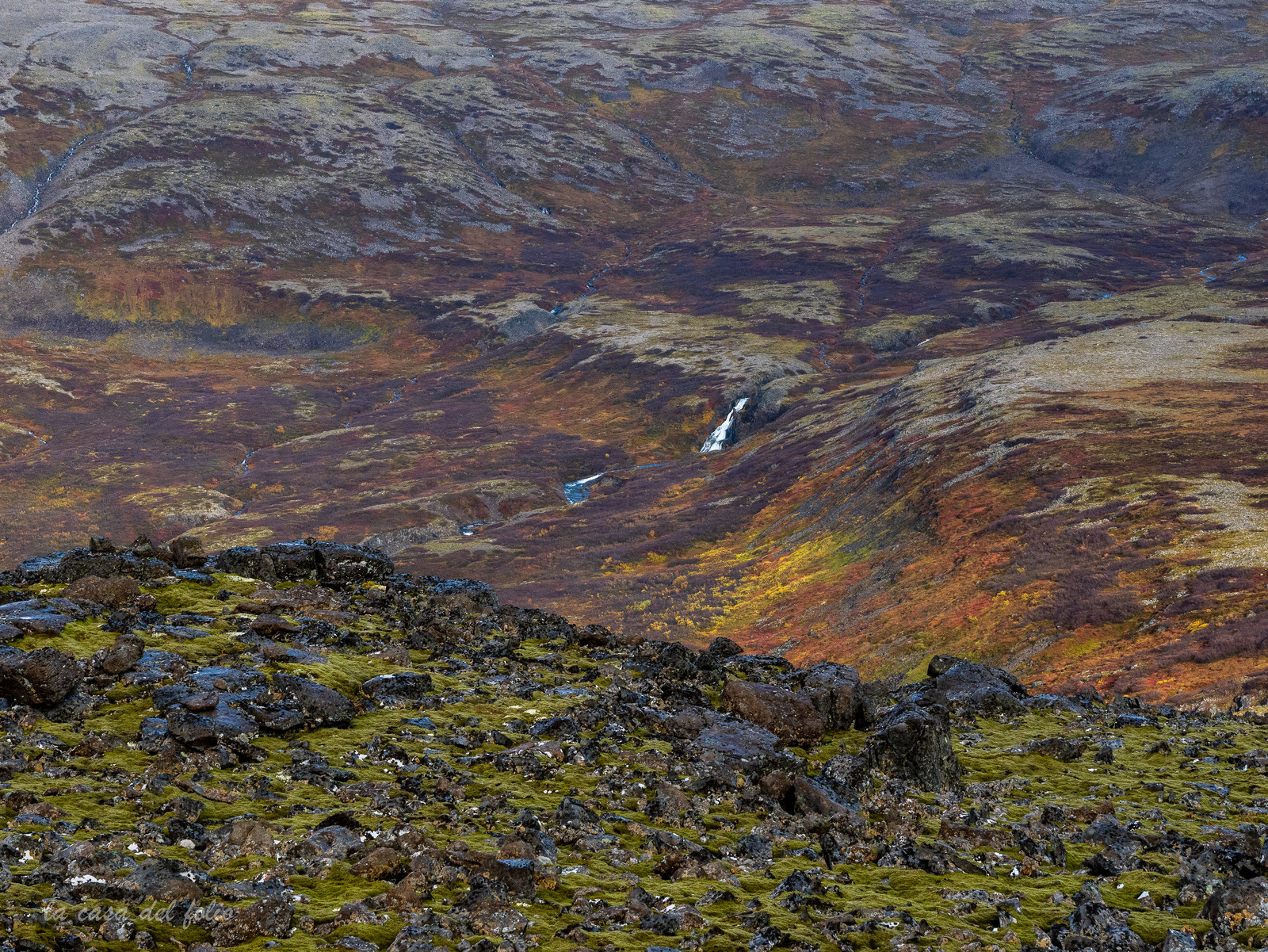 Islande