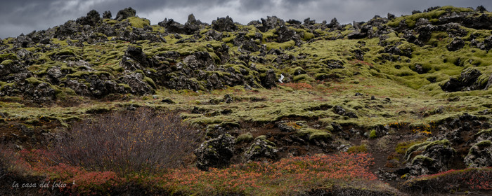 Islande