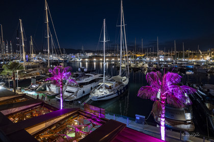 Palma