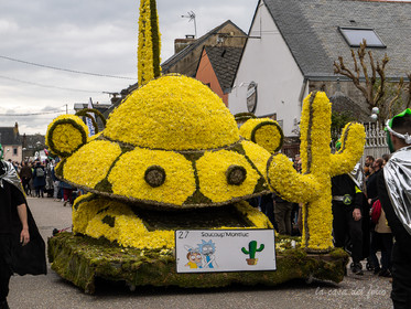 La Fête des Jonquilles