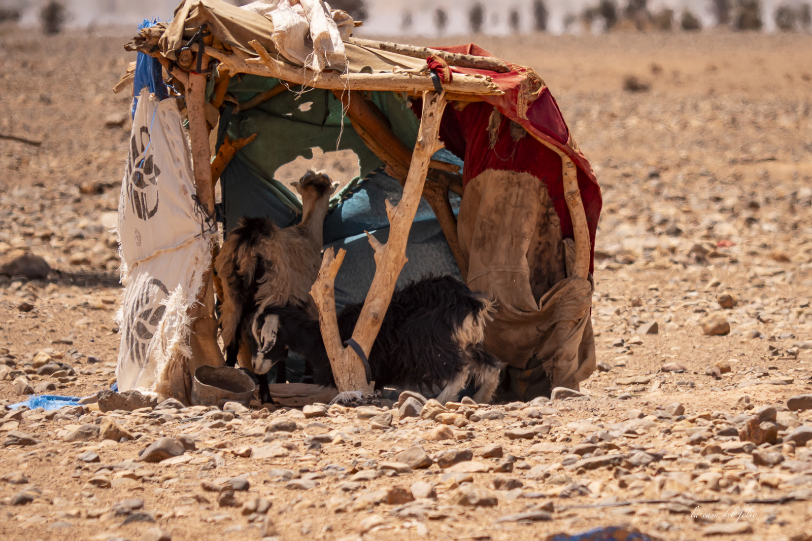 Maroc