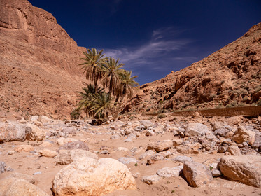 Afrique Maroc