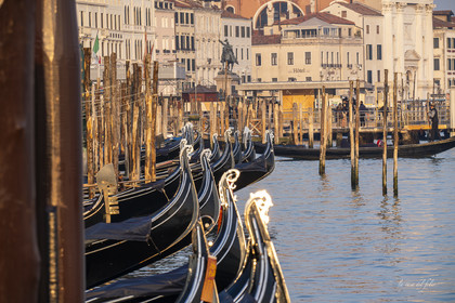 Venise