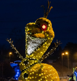 La Fête des Jonquilles
