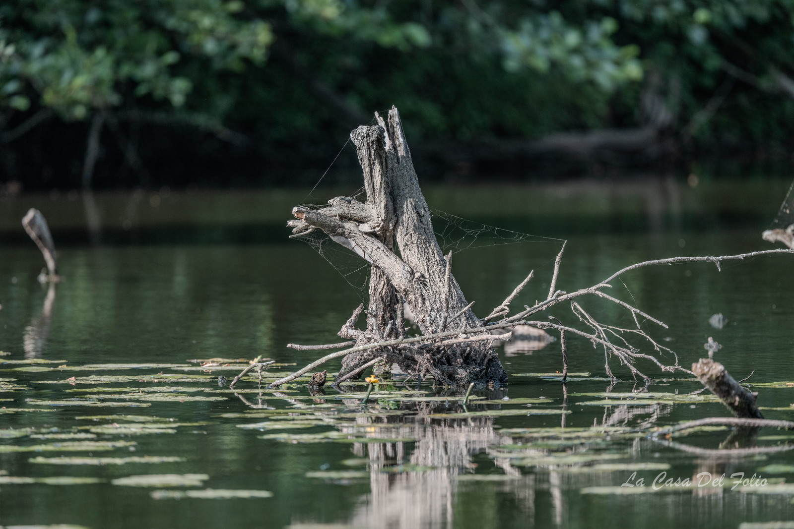 Le Gesvres, La Chapelle-sur-Erdre