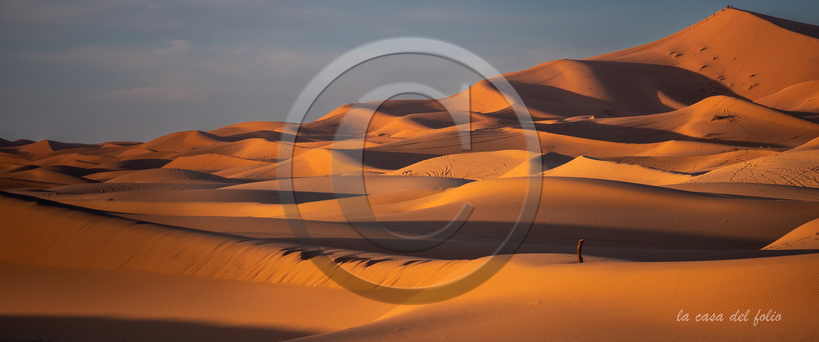 Maroc désert du Sahara,Photo ultra HD sur alu Dibond 119,6 x 50 cm