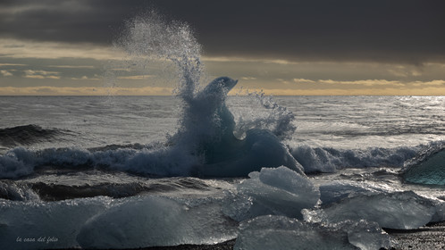 Growler Islandais:  Photo ultraHD sur Alu Dibond 112 x 63 cm