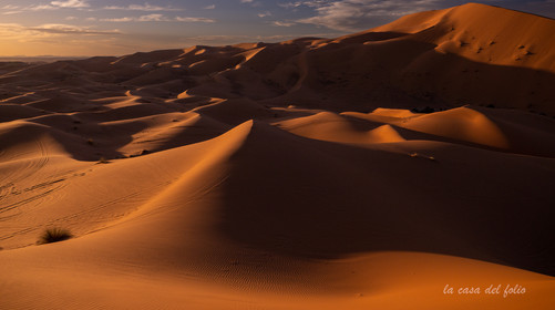 Afrique maroc