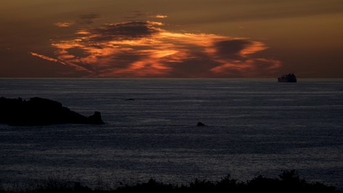 a3879303-b8a8-43a8-be38-679552ea153a_1_201_a.jpeg