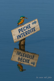 Fishing prohibited