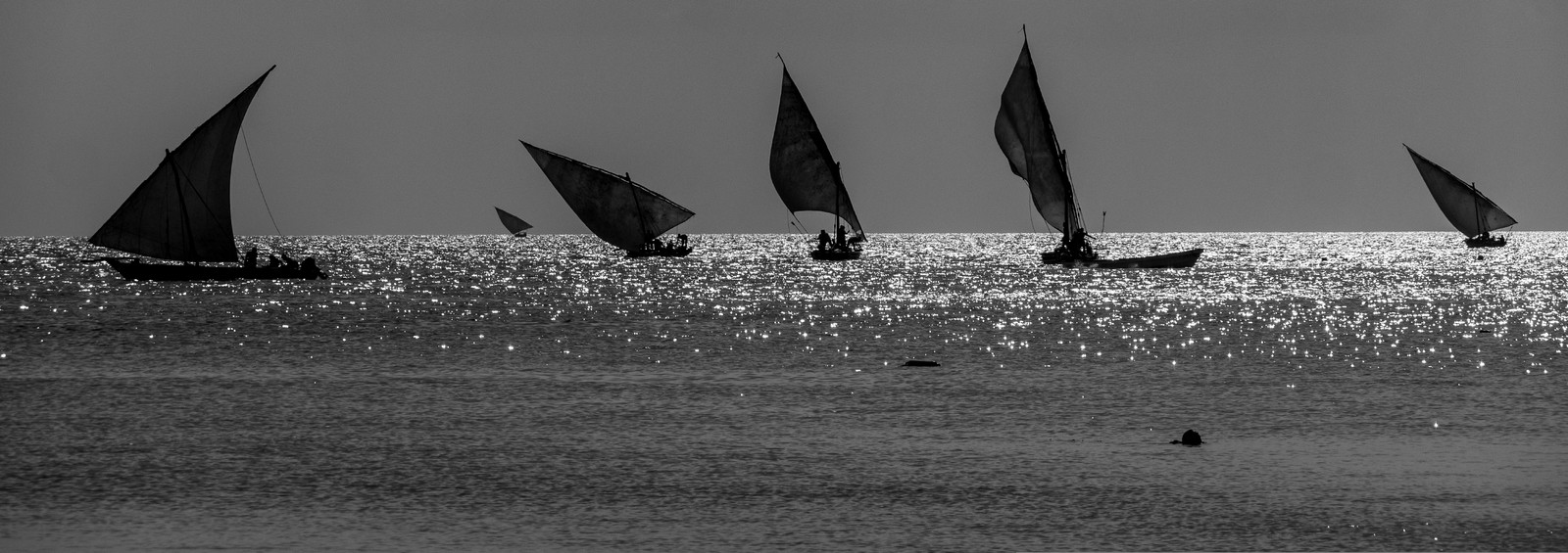 p1207198.jpg