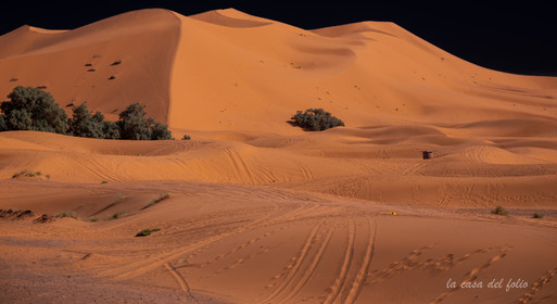 Afrique Maroc