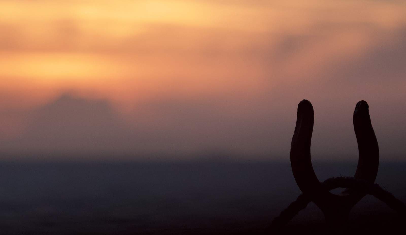 Sunset Livourne en Italie