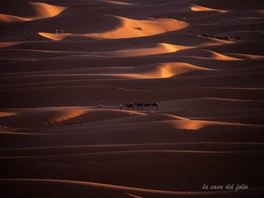 Désert du Sahara